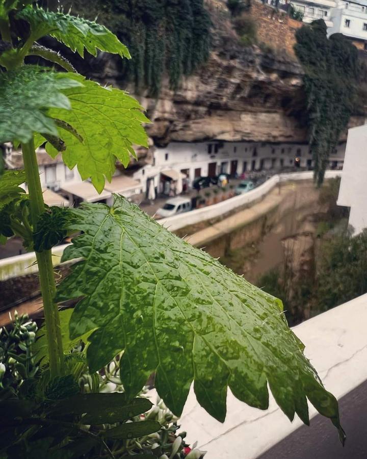 Casa Bajo La Roca Βίλα Setenil De Las Bodegas Εξωτερικό φωτογραφία